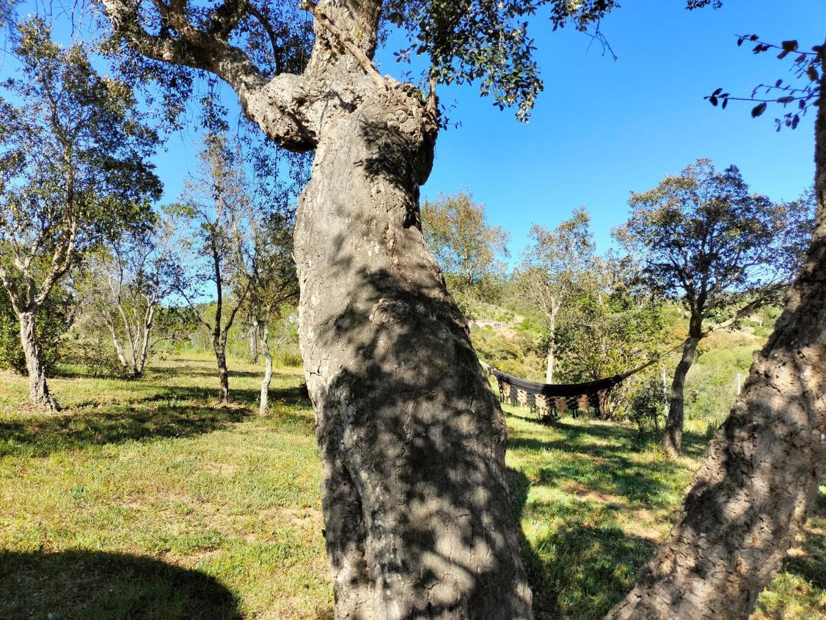 A Baleia, Bungalow De Charme Aljezur Zewnętrze zdjęcie